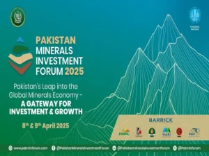 Critical Mineral Cooperation With Pakistan Carries With It Five Strategic Risks For The US