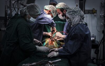 Inside Syria’s Fight to Keep Patients Alive