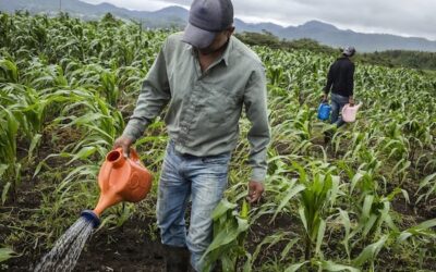 The right to water: A new front in Trump’s aggression on Mexico