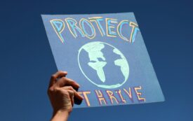 A Silent Climate Majority