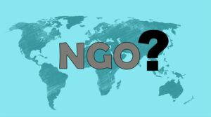 The NGO’s and what they really are!