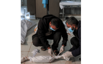 UN agency says nearly 600 children killed in renewed Israeli assault on Gaza