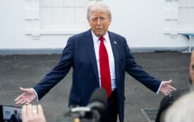 100 Days of Chaos and Calumnies
