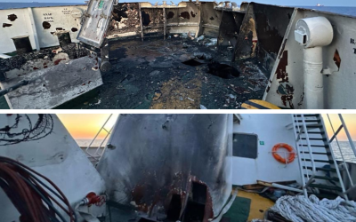 Freedom flotilla participant calls on world to stand up for Gaza