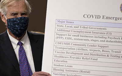 The Pandemic Welfare State