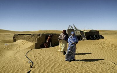 Sembrando en el desierto (1)