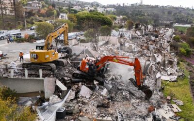 To Rebuild Post-Fire, Los Angeles Should Look to Singapore