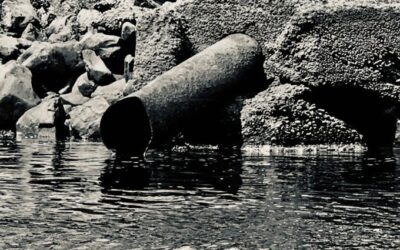 The Battle for Clean Water: Regulate or Capitulate