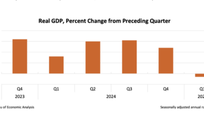 Silliness on the First Quarter GDP