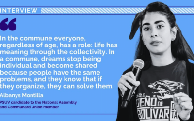 ‘We’re building a new way of life’: A conversation with National Assembly candidate Albanys Montilla