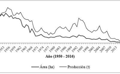 La dependencia del trigo norteamericano es una amenaza a la soberanía alimentaria colombiana
