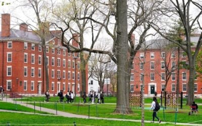 After Trump’s Harvard ban, China invites students with offers