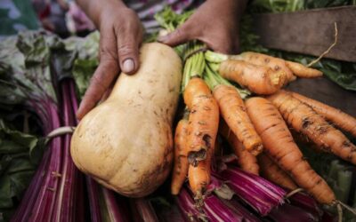 La soberanía alimentaria y los territorios frente a Milei