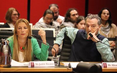 Standing against the tide: Jews Against the Occupation ’48 at the NSW antisemitism inquiry