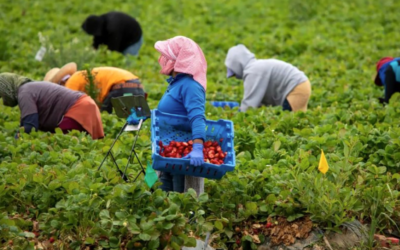 Mexicanas y latinas, migrantes que sostienen la economía de EEUU – Por Crismar Lujano