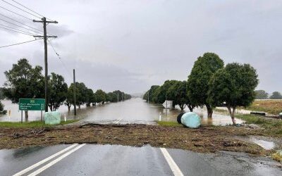 After NSW’s ‘great flood’
