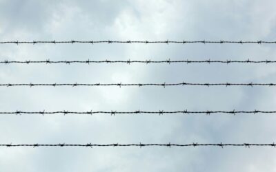 Detention Practices in a Trumpy Post-9/11 Age