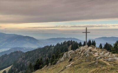 Palestine on the Cross