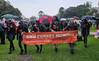 Stop Jarrah native forest mining expansion