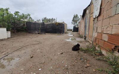 Junto al mar de plástico: más de 7.000 personas siguen viviendo sin derechos en los asentamientos de Almería
