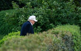 Trump’s Poll Numbers Have Collapsed