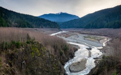 America’s national parks are among the victims of Donald Trump’s and Elon Musk’s efforts to drown our government in a bathtub