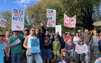 Dirty salmon and the corporate takeover of Tasmania’s waters
