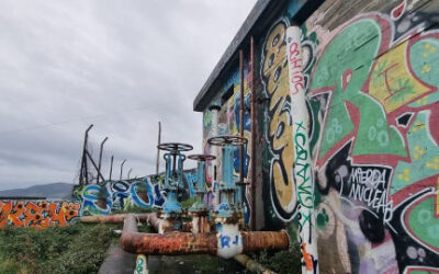 ¿Qué hacer con la Central de Lemoniz?