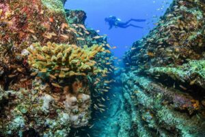 Revive Our Ocean Initiative Aims to Increase Marine Protected Areas to Cover 30% of World’s Oceans by 2030