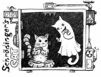 Making Sense of Schrodinger’s Cat