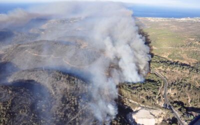 ¿Cómo incendios forestales encubren el colonialismo israelí?