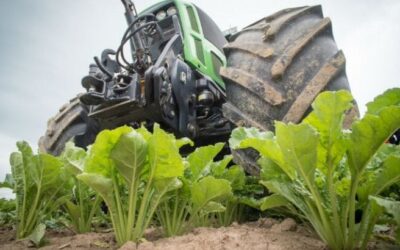 Francia abre la puerta a pesticidas tóxicos prohibidos