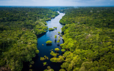 A natureza como ator político