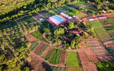 Como superar a monotonia agroalimentar?