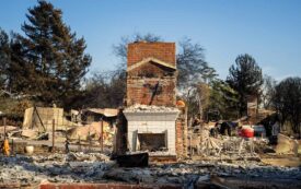 How Should Los Angeles Rebuild After the Fires?