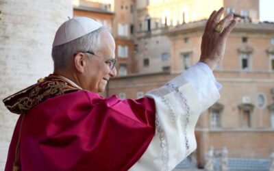 Podemos esperar combatividade do Papa Leão XIV?