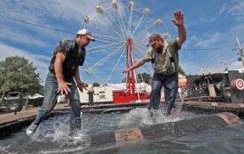Nostalgia for the American Logger?