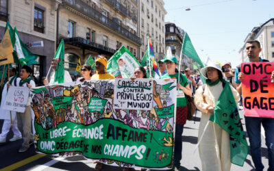 La OMC bajo fuego cruzado de las perturbaciones globales