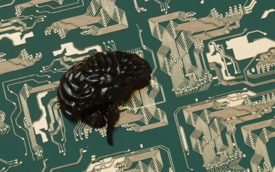 America’s Great Brain Drain