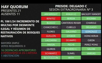 La mafia del desmonte avanza con la complicidad de los diputados en Chaco