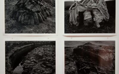 Getting Bogged Down: The State and the Natural Environment in Art