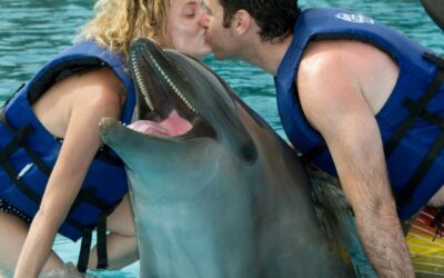 Il Messico vieta gli spettacoli con delfini e balene