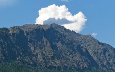 Why We Meed the Northern Rockies Ecosystem Protection Act Now More Than Ever