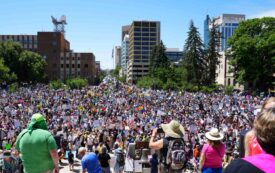 The No Kings! Movement Trumped Trump