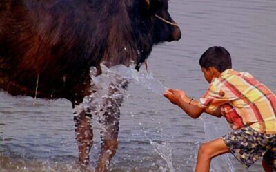 Let’s Get Child Labor Off Our Dinner Plates
