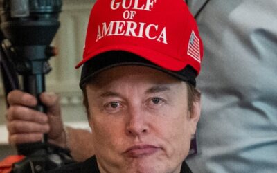 Inside the MAGA Mind: Musk Could Apologize to Trump, But Not to the American People