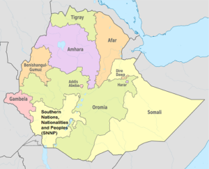 Ethiopia: As Things Fall Apart