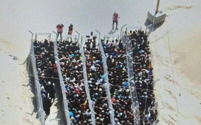The ‘chaos’ of aid distribution in Gaza is not a system failure. The system is designed to fail.