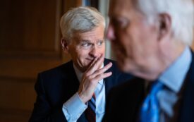 Bill Cassidy: A Profile in Cowardice