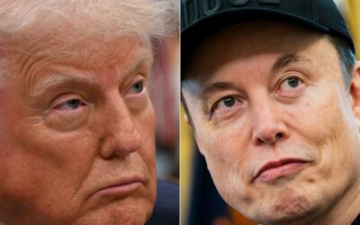 With Trump vs. Musk, Capitalist Democracy Reaches a New Low